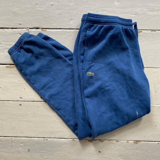 Lacoste Blue Joggers (Large)