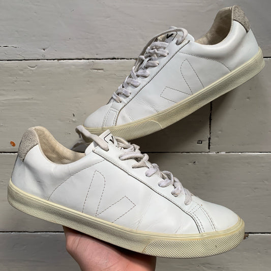 Veja White Leather Trainers (UK 8)