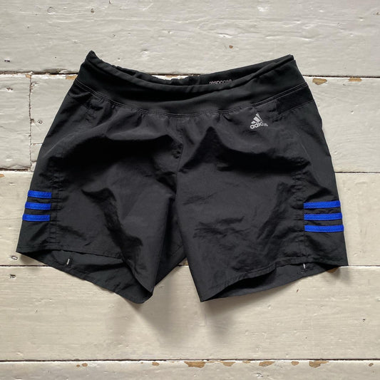 Adidas Black and Blue Shorts Womens (Small)