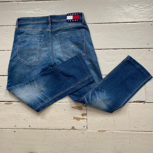 Tommy Hilfiger Blue Jeans (34/27)