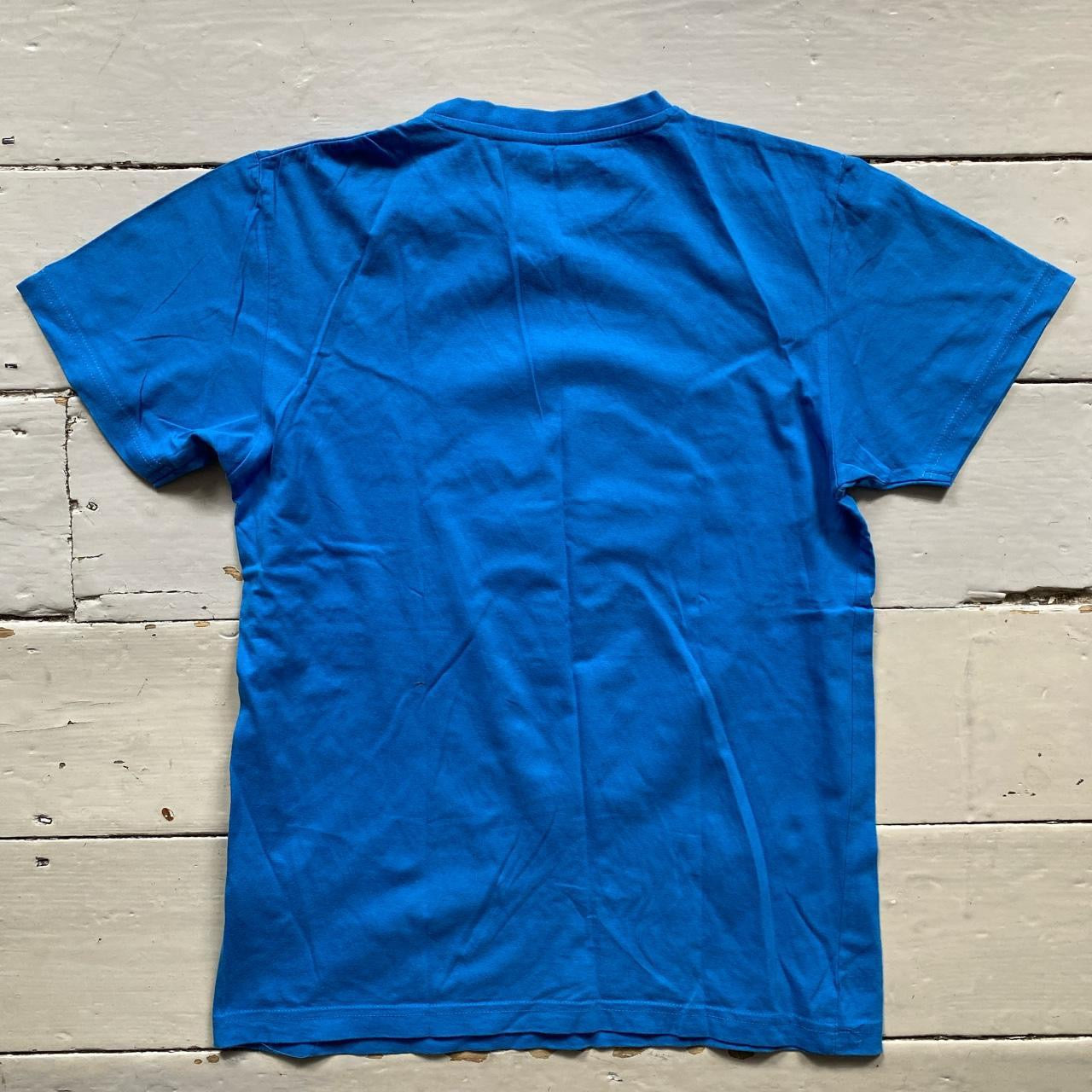 Ecko Unltd T Shirt Blue (Small)