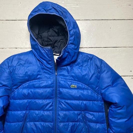 Lacoste Blue Puffer Jacket (Large)