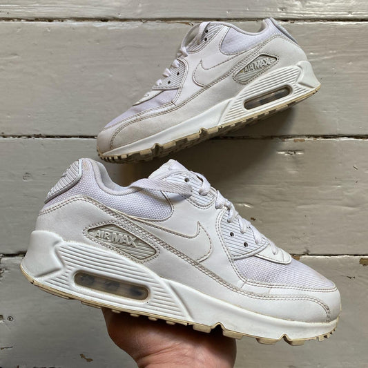 Nike Air Max 90 White (UK 7)