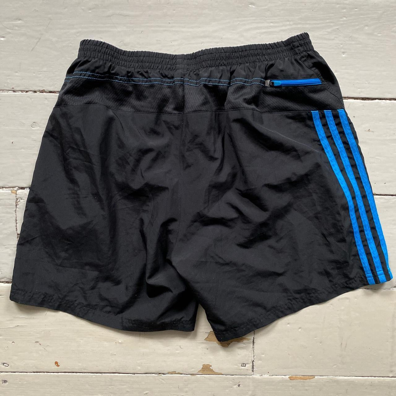 Adidas Black and Blue Shorts (Large)