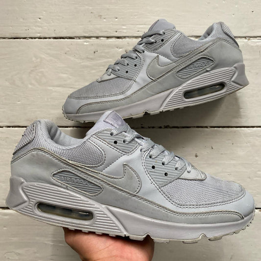 Nike Air Max 90 Silver Grey (UK 10)