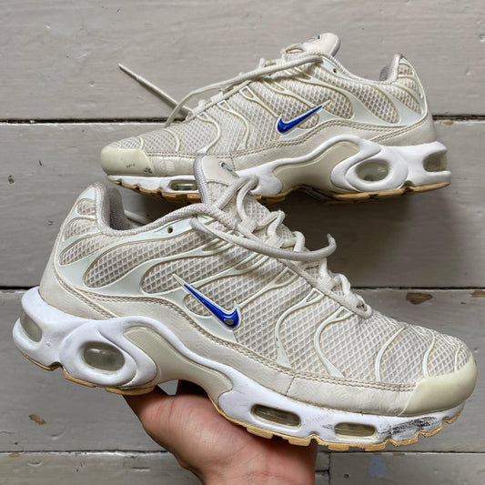 Nike TN Air Max Plus White and Blue (UK 7)