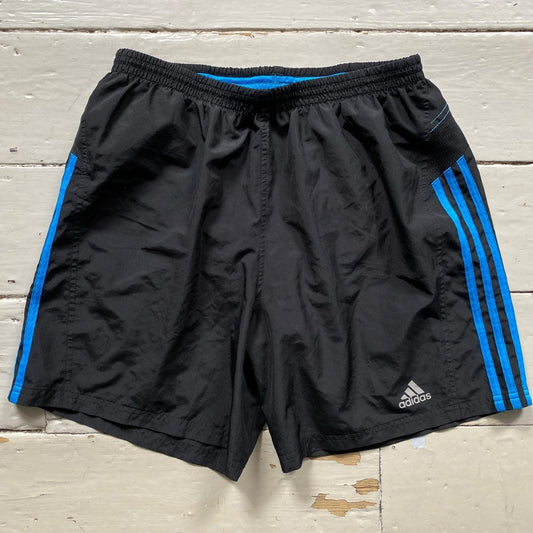 Adidas Black and Blue Shorts (Large)