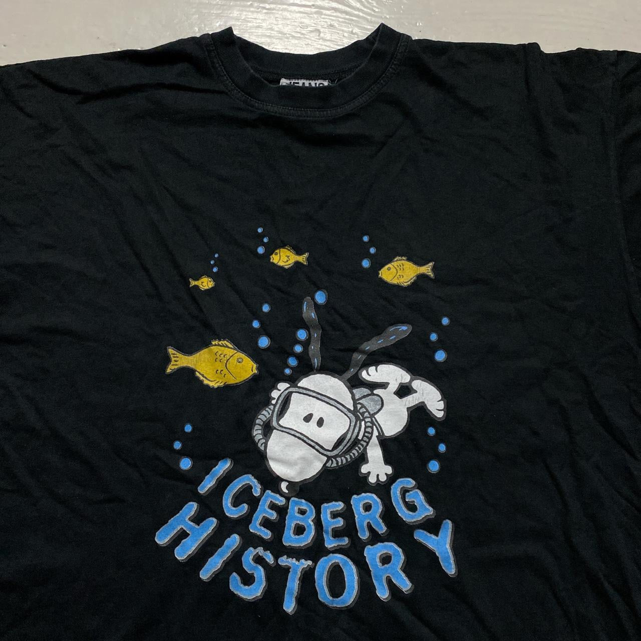 Iceberg History Vintage T Shirt (4XL)