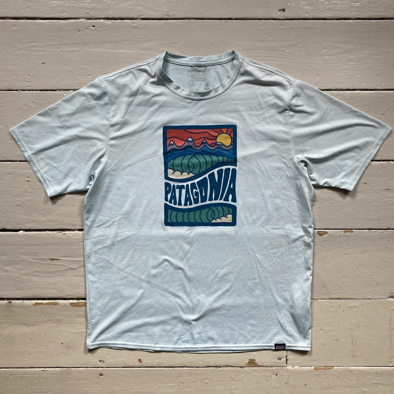 Patagonia Light Blue T Shirt (Medium)