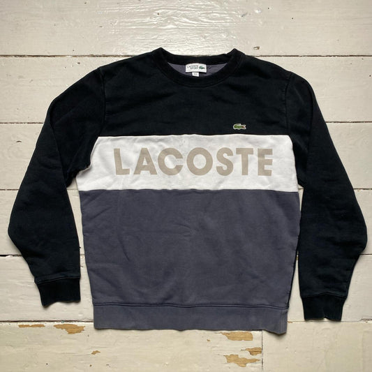 Lacoste Jumper Black and White (Medium)