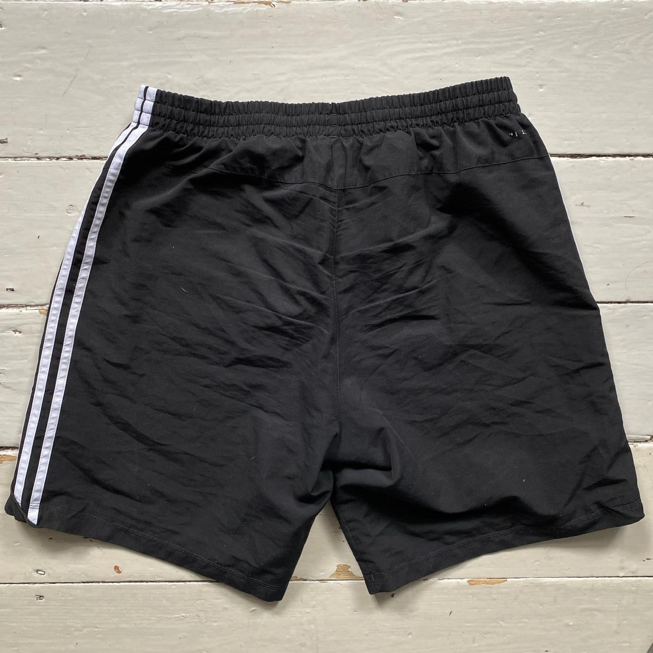 Adidas Black and White Shorts (Large)
