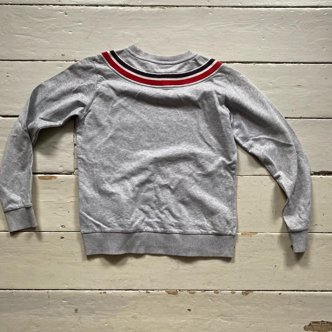 Moncler Womens Grey Jumper (Small)