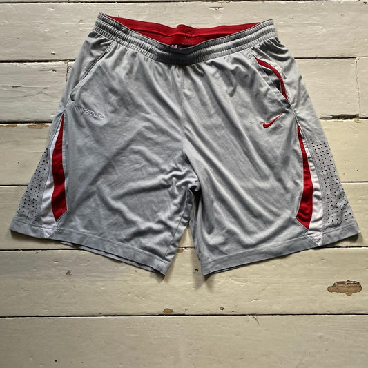 Nike Vintage Basketball Shorts (XL)