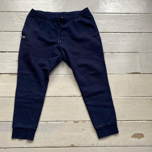 Lacoste Croc Navy Joggers (XXL)