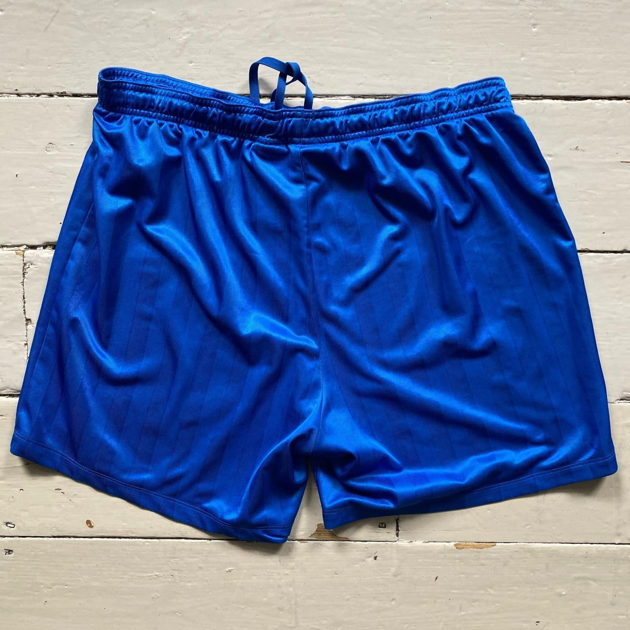 Nike Blue Shorts (Large)