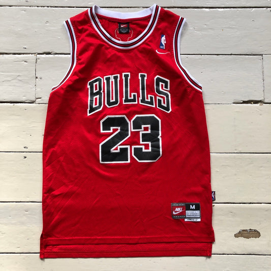 Nike Jordan 23 Vintage Chicago Bulls Jersey (Medium)