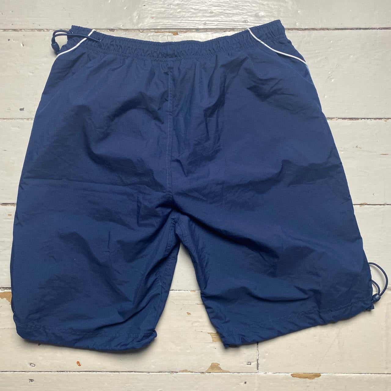 Nike Swoosh Vintage Shorts (Large)