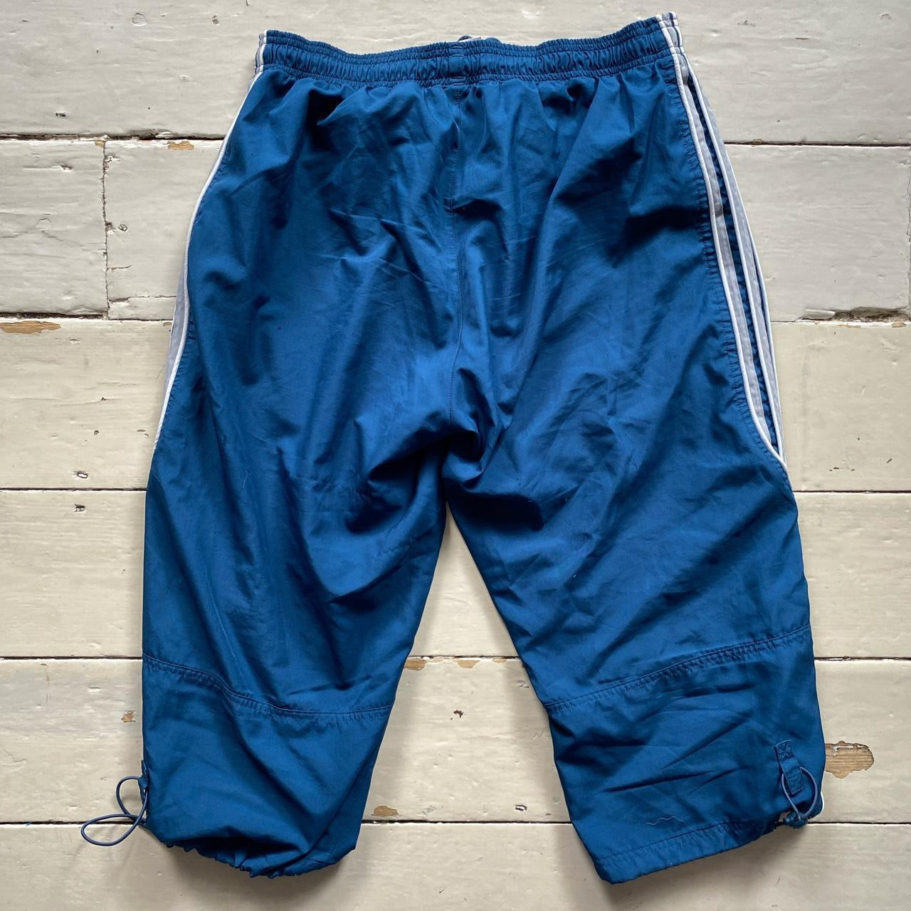 Adidas Shell Shorts (Medium)