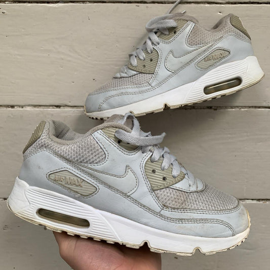 Nike Air Max 90 Silver and White (UK 5)