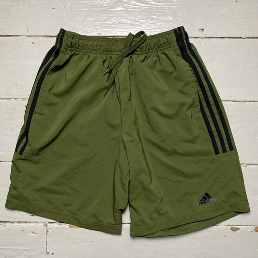 Adidas Khaki Shorts (Medium)