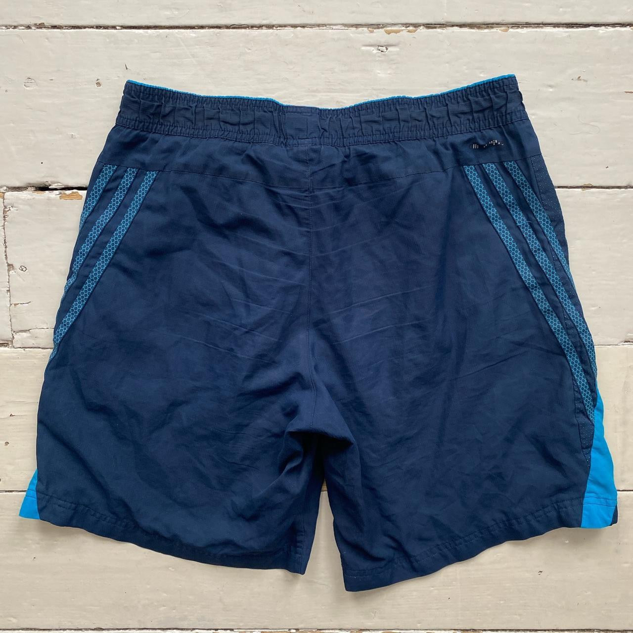 Adidas Shell Shorts (Medium)