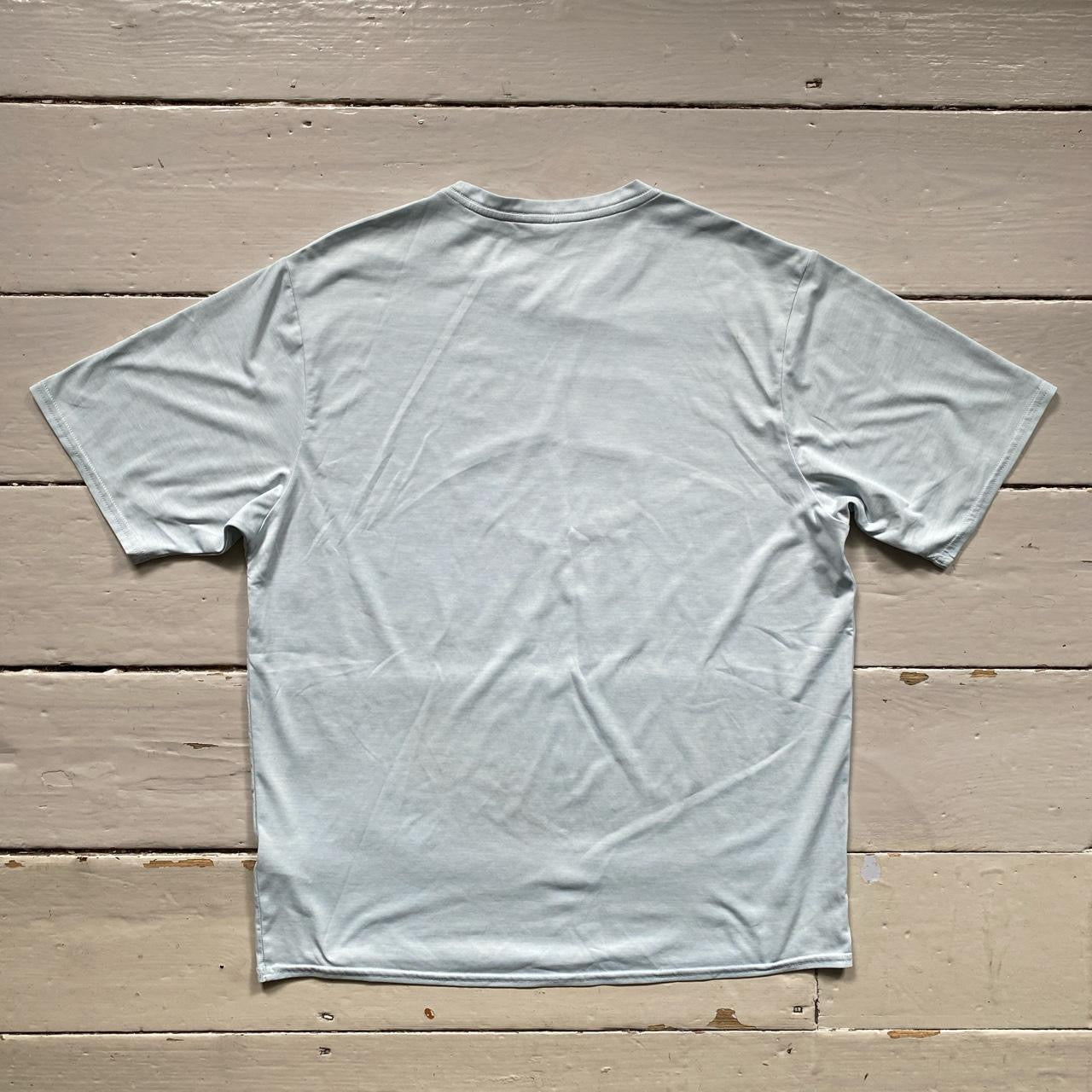 Patagonia Light Blue T Shirt (Medium)