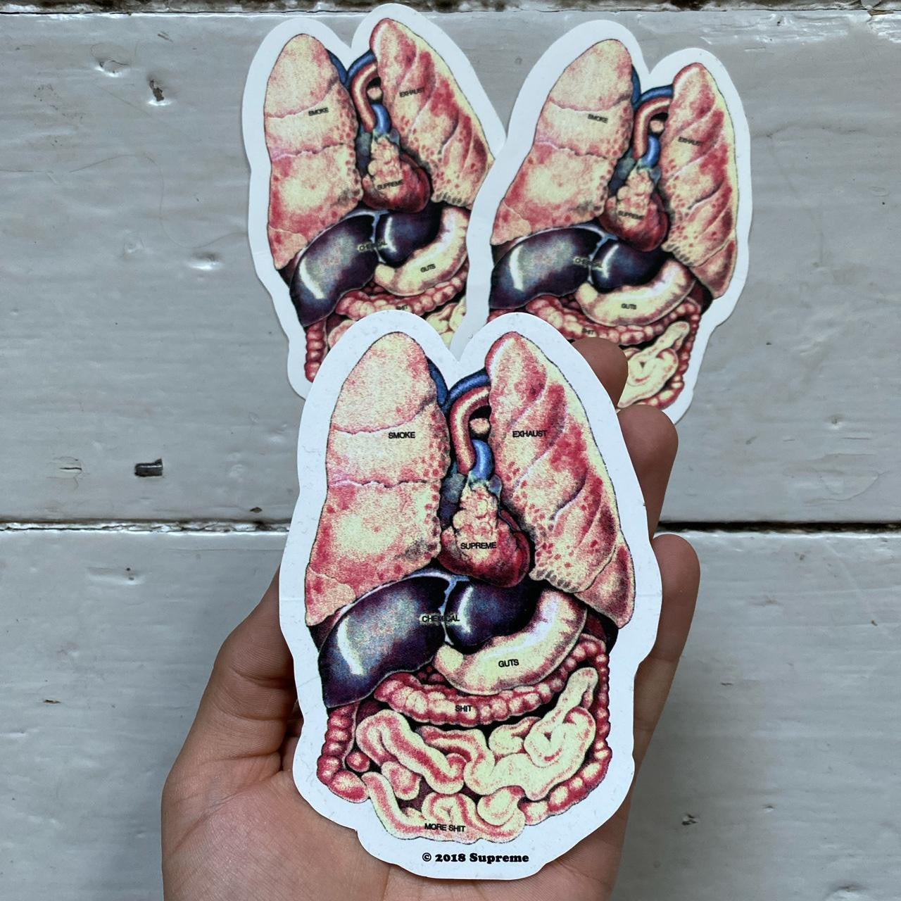 Supreme Guts Sticker