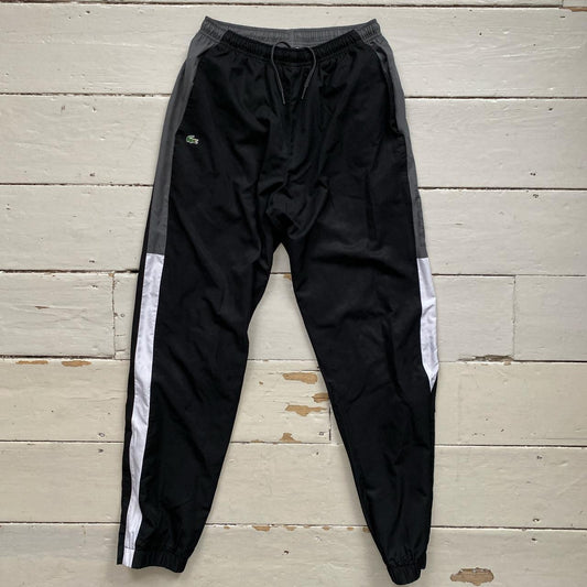 Lacoste Shell Bottoms (Small)