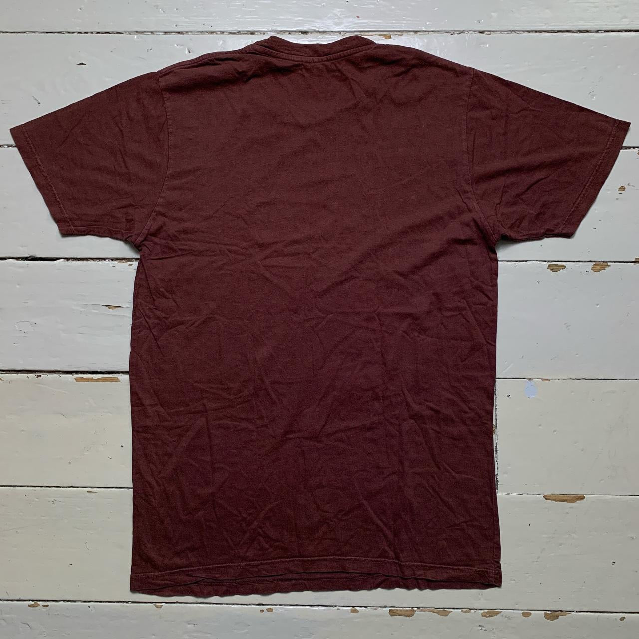 2761 Vintage Dragon T Shirt Brown (Medium)