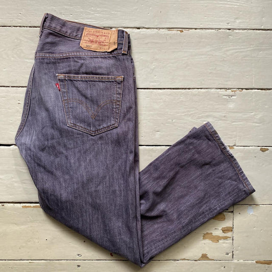 Levis 501 Purple Jeans (34/29)