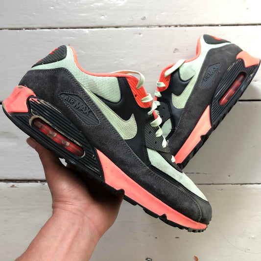 Nike Air Max 90 Yeezy Colours (UK 12)